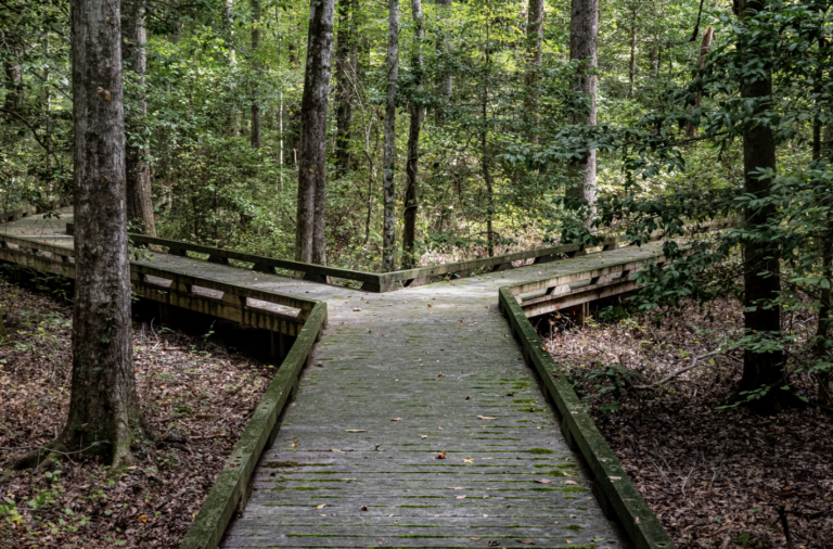 Overcoming Differences – Meeting Karma The Sacrament of the Human Encounter